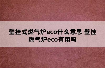 壁挂式燃气炉eco什么意思 壁挂燃气炉eco有用吗